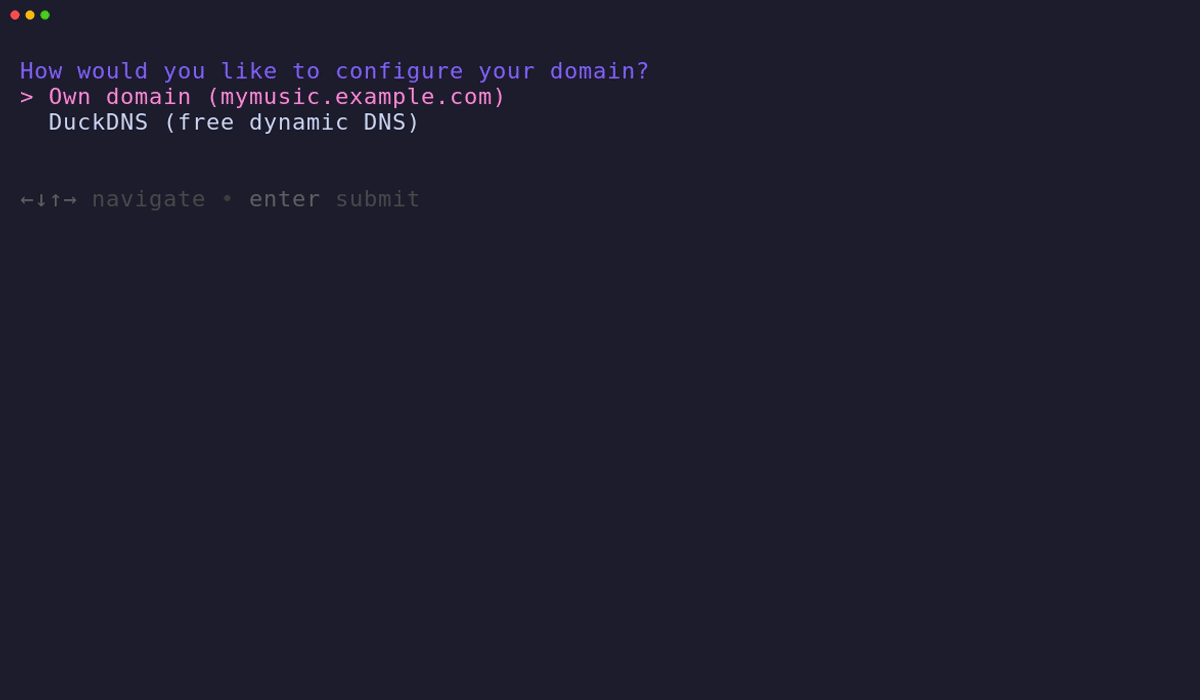 Choosing DuckDNS and entering a subdomain and token in the installer