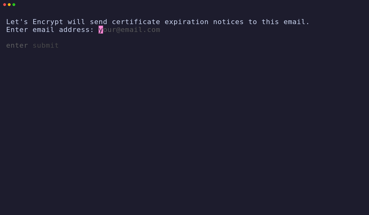 Entering an email for HTTPS notices, then choosing to enable automatic updates via Watchtower